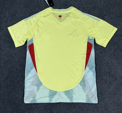 2024 Spain Away