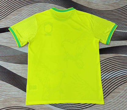2023 Brazil