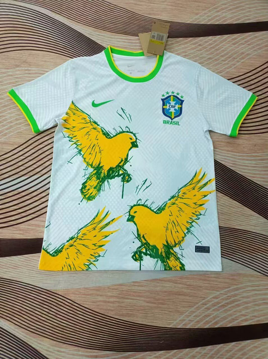 2023 Brazil