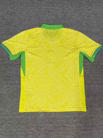 2024 Brazil Home